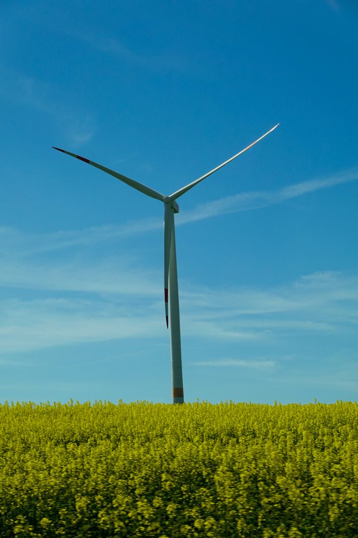 Home A wind turbine stands tall in a lush yellow field under a clear blue sky, showcasing renewable energy.