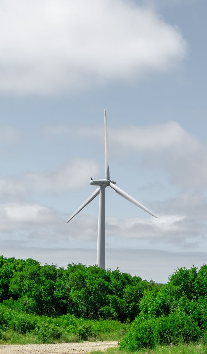 Home A tall wind turbine stands amid green trees, symbolizing renewable energy and nature.