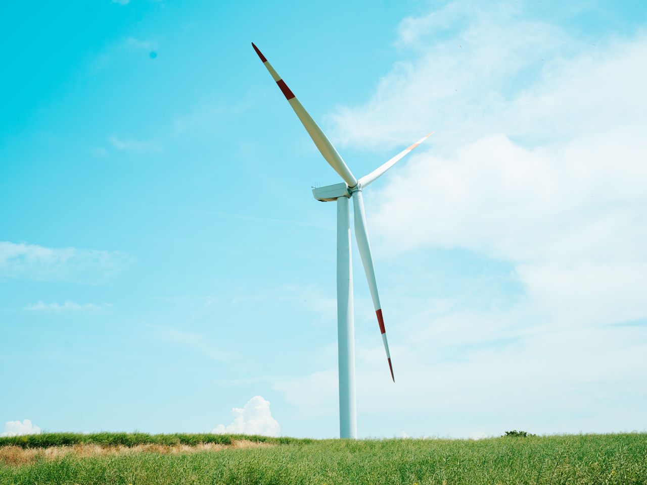 Home A wind turbine stands tall against a clear blue sky on a grassy field, symbolizing renewable energy.